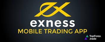 Comprehensive Insights into Exness Forex Trading Broker