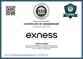 Discovering the Benefits of Exness MT5Real A Comprehensive Guide